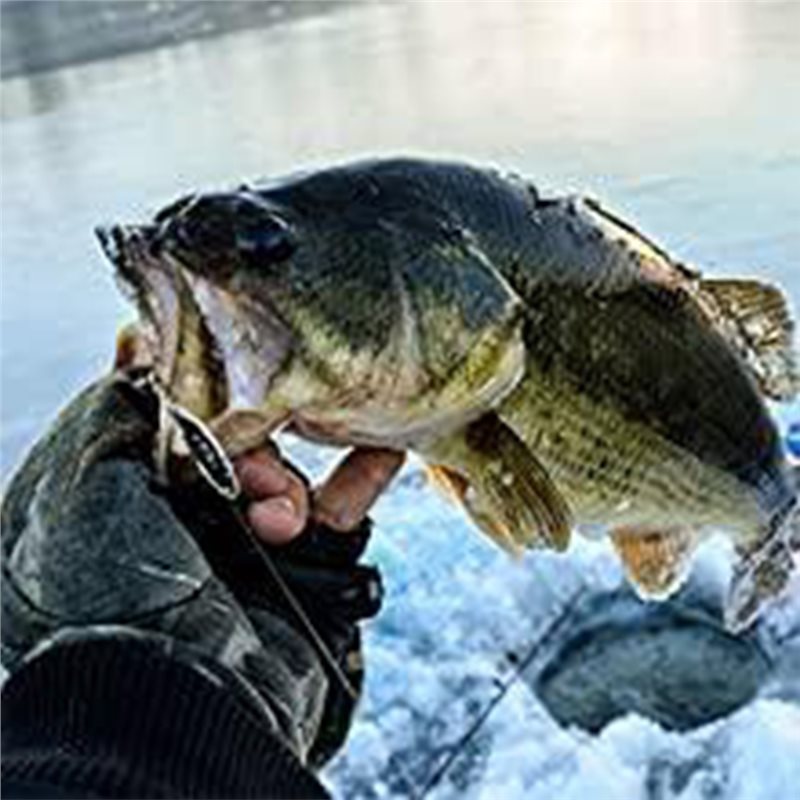 ABLB-Sonda de Pesca para Kayak - Fishing Boat Depth Finder reseña y precio